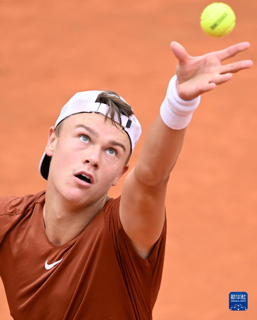 处罚的原因 处罚的原因